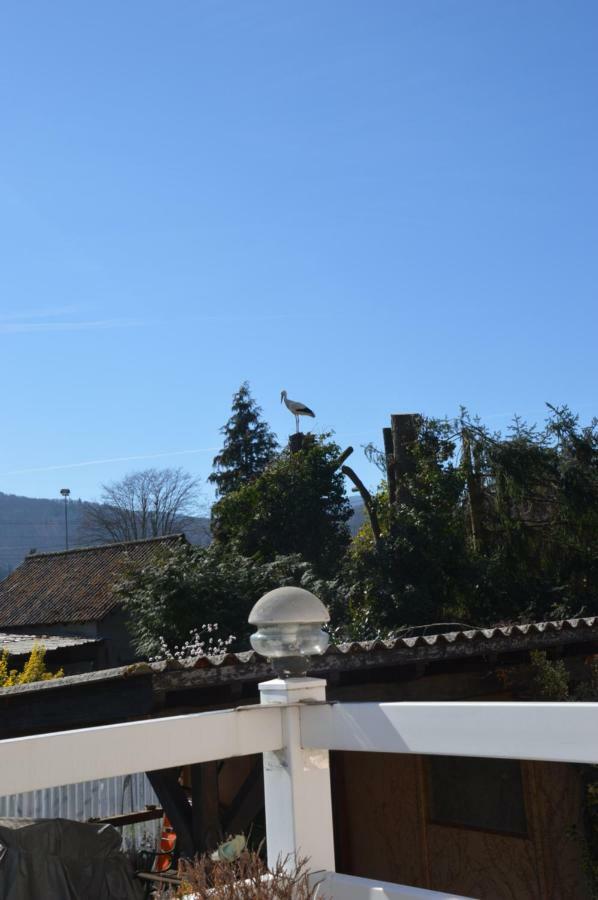 Les Glycines 68230 Holiday home